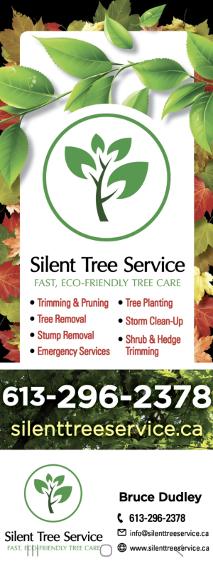 DH-Tree-Service-01